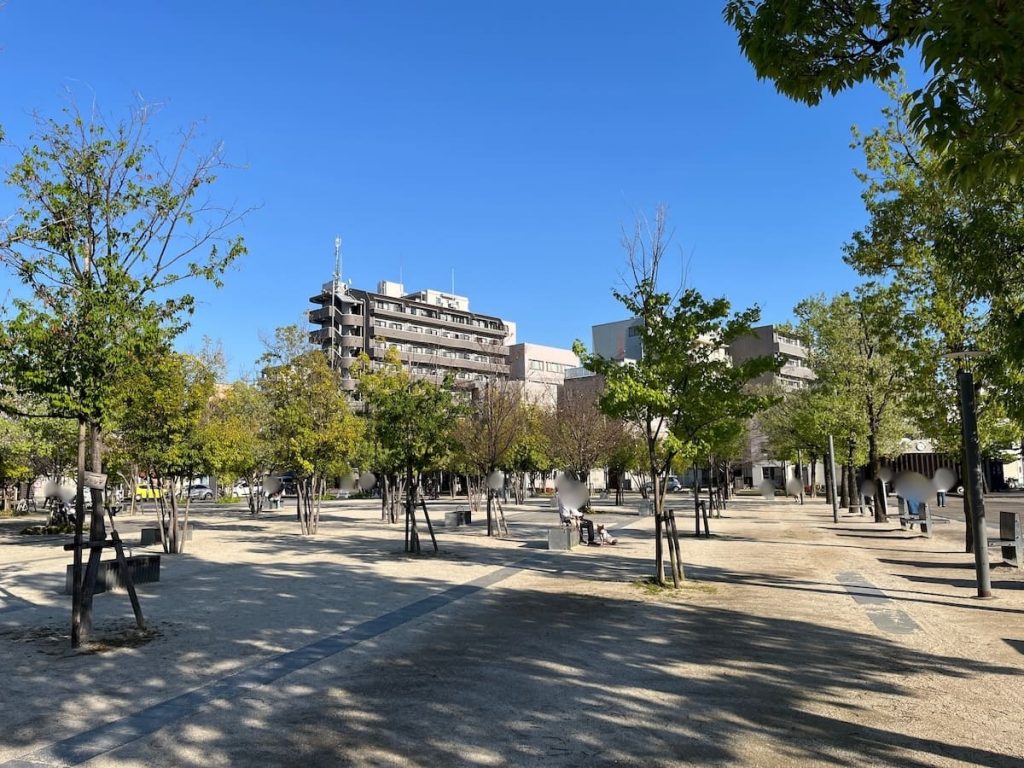 林の広場