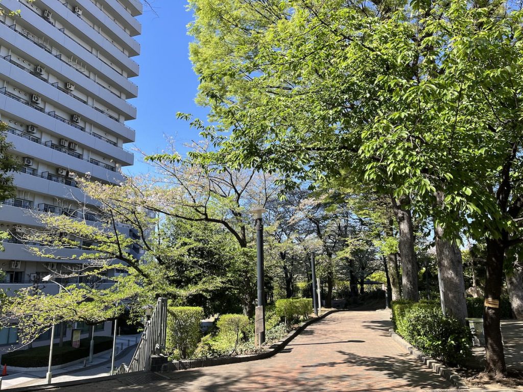 散策路