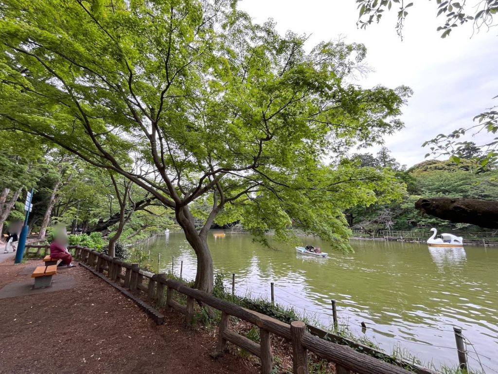 井の頭池