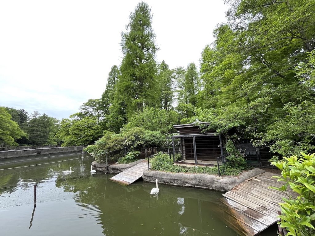 水生物園