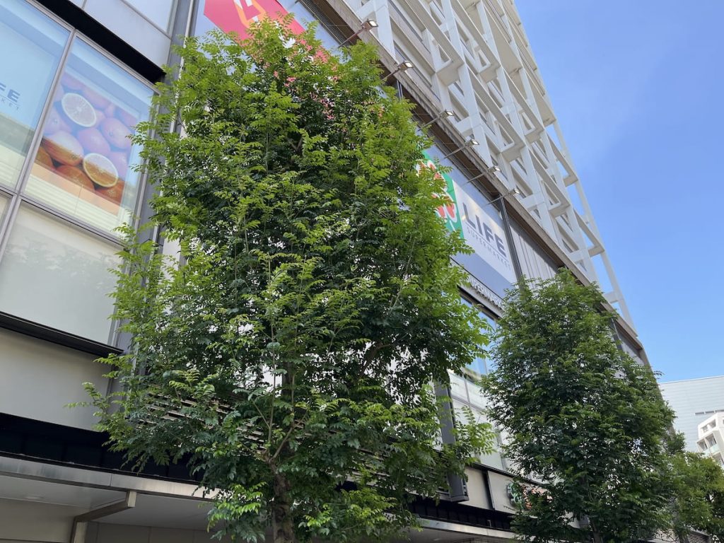 ライフ京急蒲田駅前店