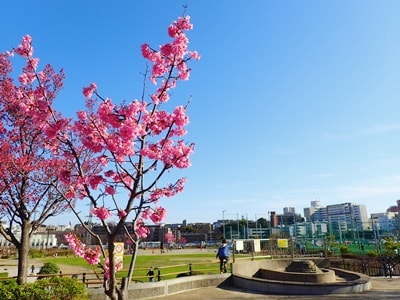 川崎市宮前区 鷺沼駅周辺の街の雰囲気と駅前再開発のゆくえは 写真付で街並みや住みやす さをチェック 街紹介 オークラヤコラム マンション売却 購入 住み替え 賃貸ならオークラヤ住宅