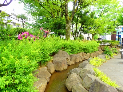 大田区 オススメの公園 をピックアップ 家族 子供連れ 友人と お花見 紅葉 お散歩などに 街紹介 オークラヤコラム マンション売却 購入 住みかえ 賃貸ならオークラヤ住宅