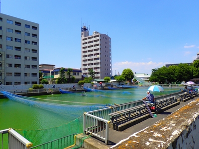江東区 オススメの公園をピックアップ 家族 子供連れ 友人と お花見 散歩などに 街紹介 オークラヤコラム マンション売却 購入 住み替え 賃貸ならオークラヤ住宅