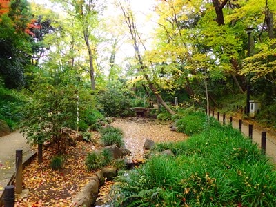 ＜新宿区＞下落合の住みやすさは？目白・高田馬場・中井も徒歩圏内！写真付で雰囲気伝わるマンション購入のための街紹介