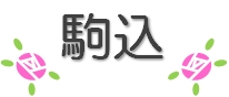 駒込で庭園巡りを楽しもう！