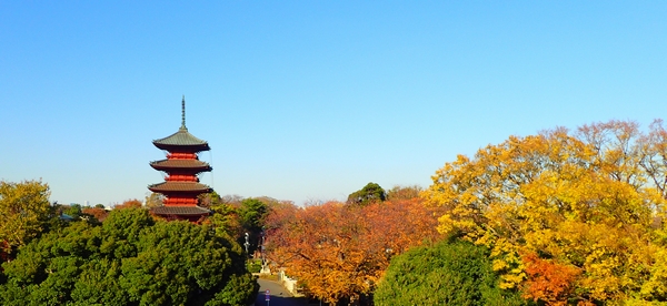 ＜大田区＞オススメの公園をピックアップ！家族・子供連れ・友人と♪お花見・紅葉・お散歩などに