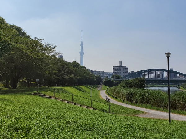 ＜江東区＞オススメの公園をピックアップ！家族・子供連れ・友人と♪お花見・散歩などに