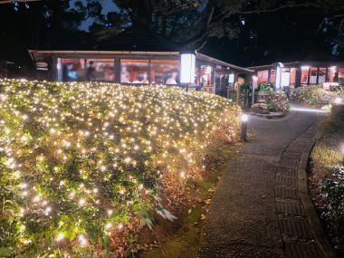 日本庭園のイルミネーション