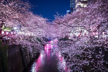 五反田の由来と現在